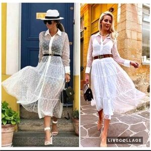 Zara Polka Dot Sheer Tulle Maxi Dress XS